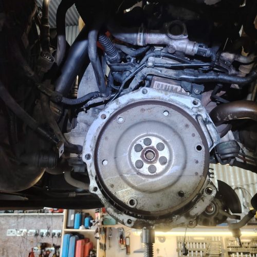 WhatsApp Image 2025-07-11 at 7.01.43 PM (1)